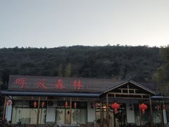 -呼吸森林·生态农庄农家乐私房菜