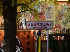 -三里屯东五街银杏大道