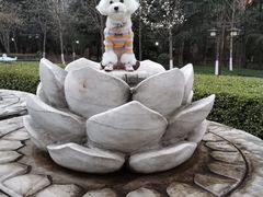 -木塔寺遗址生态公园