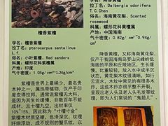 -中国紫檀博物馆