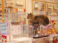 -猫的天空之城概念书店(杭州南宋御街店)