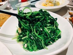 蒜蓉鸡毛菜-北李妈妈菜·海肠捞饭(高新万达店)