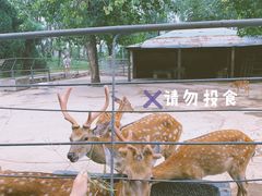 -祥源·阜阳生态乐园