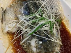 清蒸宝石斑-海宝酒家(中山四路店)