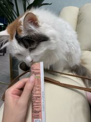 -HUII NAIL绘京美甲美睫会馆