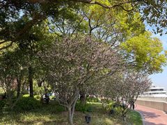 -北外滩滨江绿地