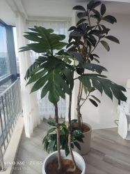 -HEYAN荷妍专业脱毛连锁机构