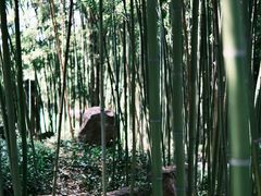 -个园