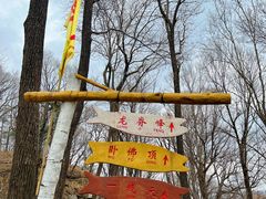 -香炉山国家森林公园