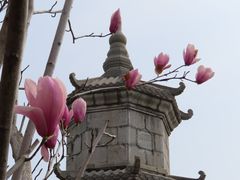 -长春观