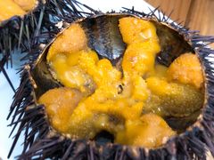 -海胆小馆(东北水饺·春柳店)