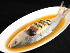 清蒸鲥鱼-西湖春天•老字号杭州菜(百汇店)