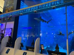 -迪拜水族馆及水下动物园