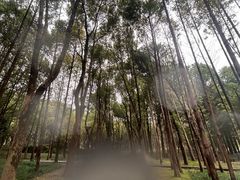 -高子水居