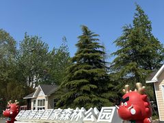 -日照海滨国家森林公园