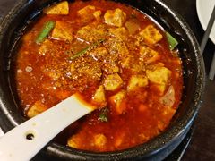 -陈麻婆豆腐总店