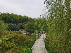 -杏花村文化旅游区