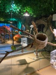 -酷嗒动物文化乐园(cutezoo西溪乐天城店)