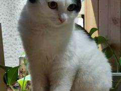 -么么咖啡(燕郊店)