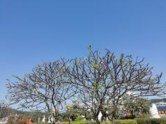 -青澳湾北回归线广场