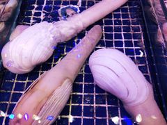 生鲜象拔蚌-青蓬蒸汽海鲜·深圳老字号·团建聚会(壹方城店)