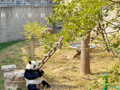 -石家庄市动物园