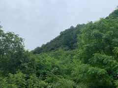 -终南山国家森林公园