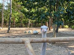 -大连森林动物园