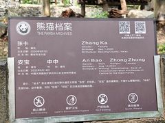 -都江堰中华大熊猫苑