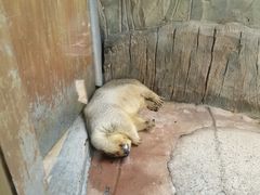 -杭州海底世界