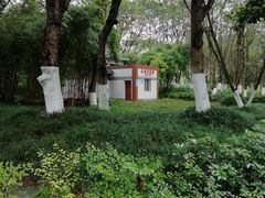 -重庆彩云湖湿地公园