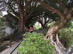 景点-九龙公园
