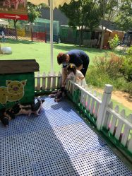 点击看大图 -萌宠亲子动物乐园(槐房万达店)