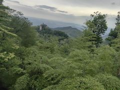 -莫干山风景区