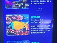 -波塞冬海底世界