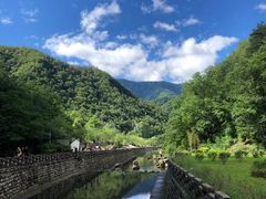 -牛背梁国家森林公园
