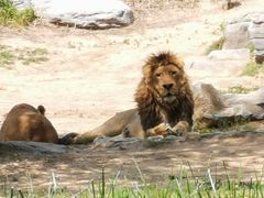 -北京野生动物园
