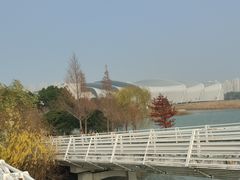 -贡湖湾湿地公园