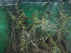 -上海大自然野生昆虫馆(东方明珠·爬宠昆虫探索中心)