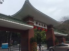 -中山大学学者灵芝(园南路店)