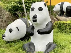 -深圳野生动物园