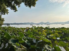 -湖畔居茶楼(湖滨店)