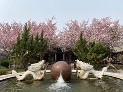 -有喜胶东小馆(太申祥和店)