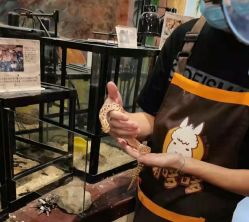 -萌哆哆·宠物乐园(福清店)