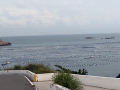 -枸杞岛
