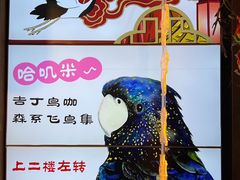 -吉丁鸟咖·异宠·寄养