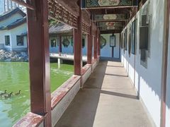 -团结湖公园