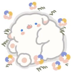 -AMOR慕尔造型