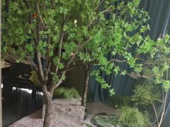 -映像威海·威海宴(威高广场店)