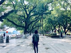 -桂林两江四湖景区